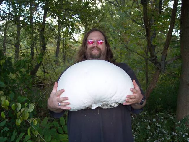 Picdump 200 - #40 