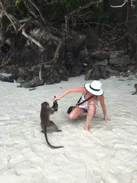 Picdump 201 - #1 