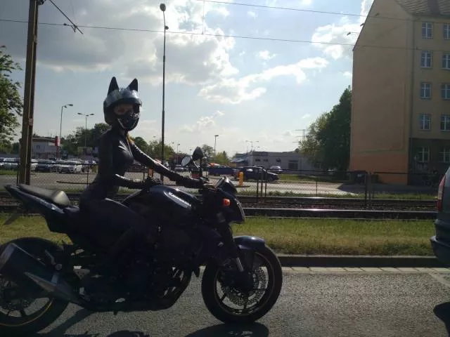 Picdump 201 - #30 