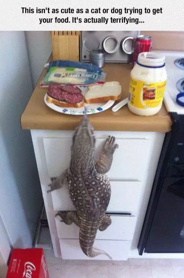 Picdump 201 - #32 