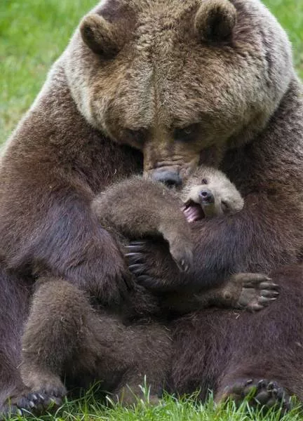Picdump 201 - #33 