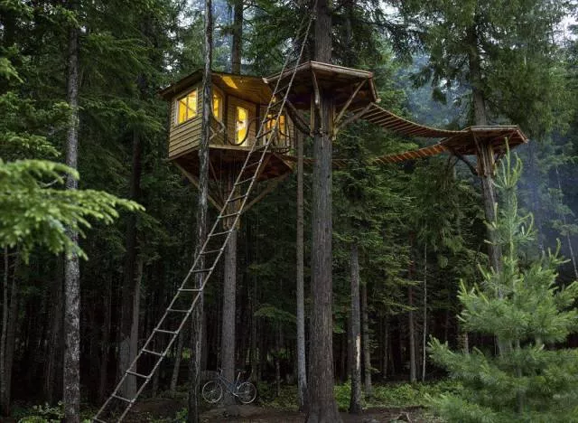 Picdump 201 - #38 