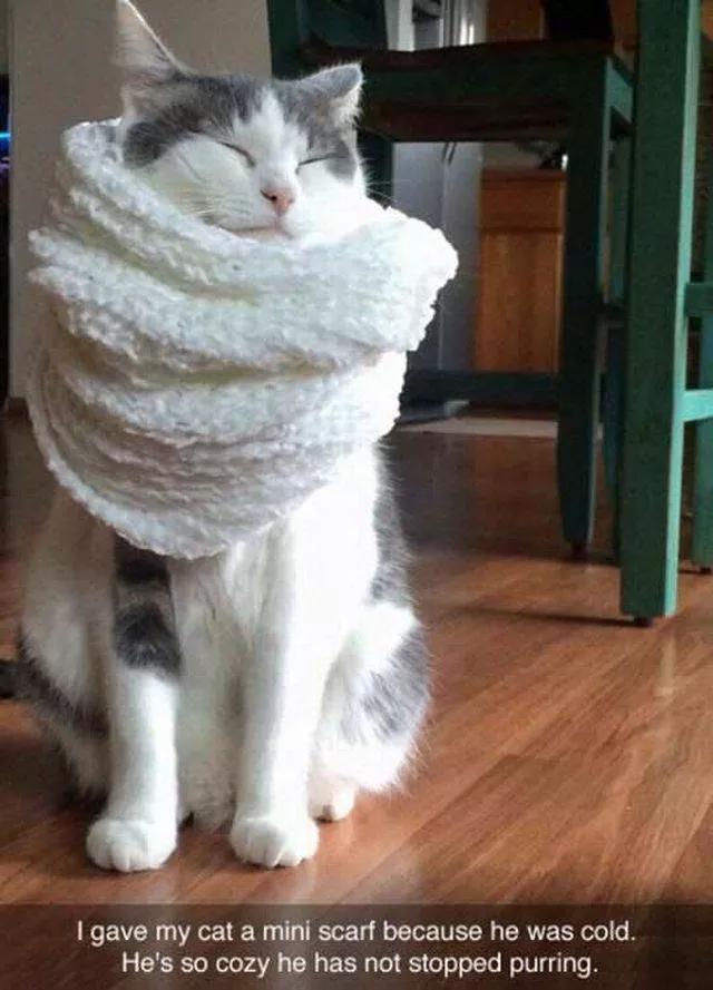 Picdump 201 - #61 