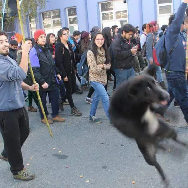 Picdump 201 - #77 