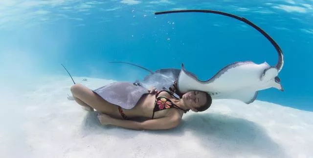 Picdump 201 - #79 