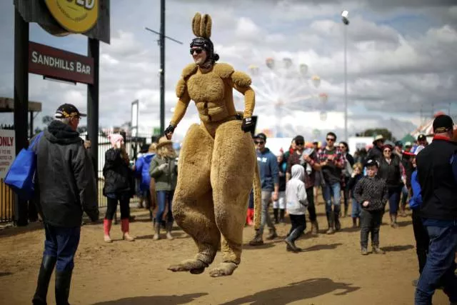 Picdump 201 - #81 