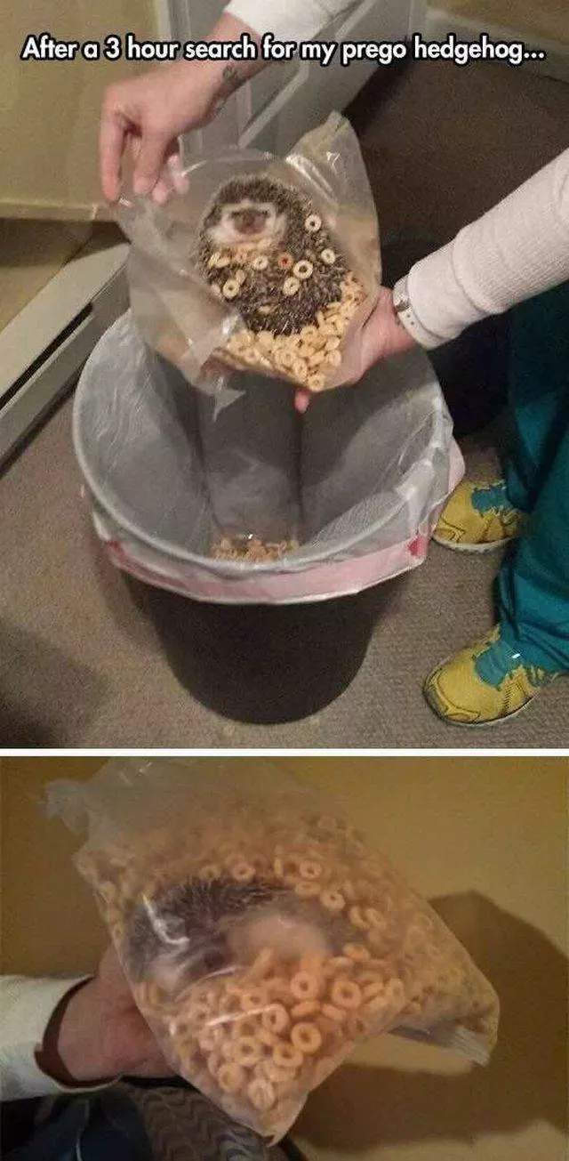 Picdump 201 - #94 