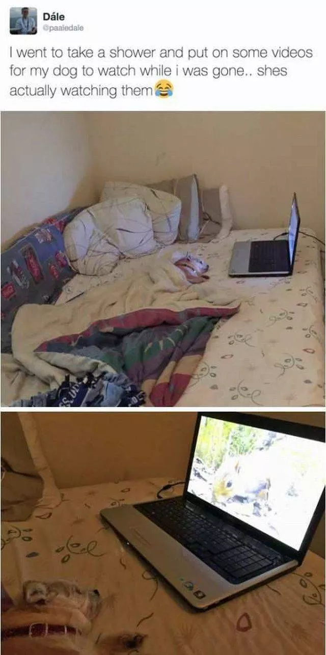 Picdump 201 - #95 