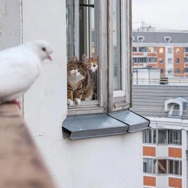 A collection of superb photos - #1 
