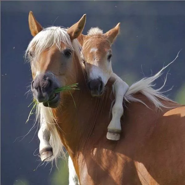 A collection of superb photos - #10 