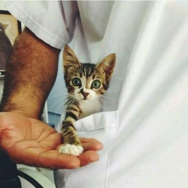 A collection of superb photos - #12 