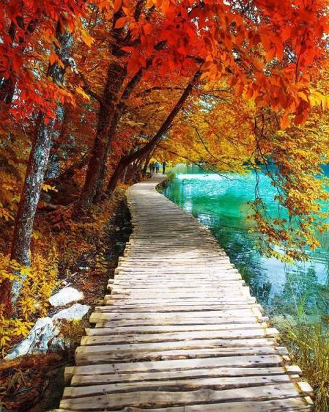 A collection of superb photos - #19 
