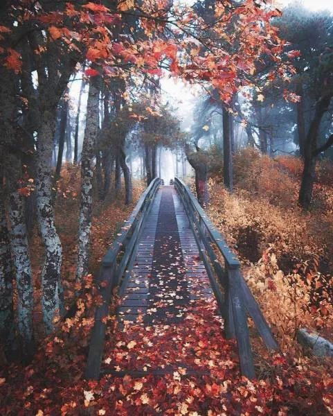 A collection of superb photos - #21 