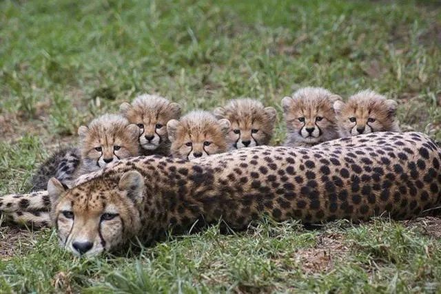 A collection of superb photos - #29 