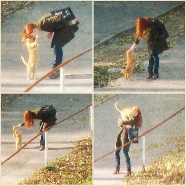 A collection of superb photos - #31 