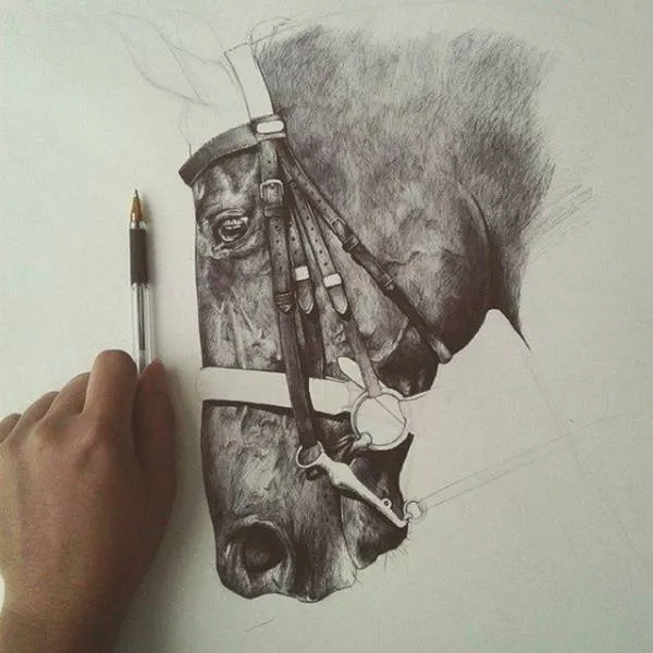 A collection of superb photos - #33 
