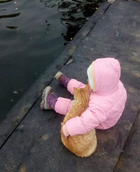 A collection of superb photos - #35 