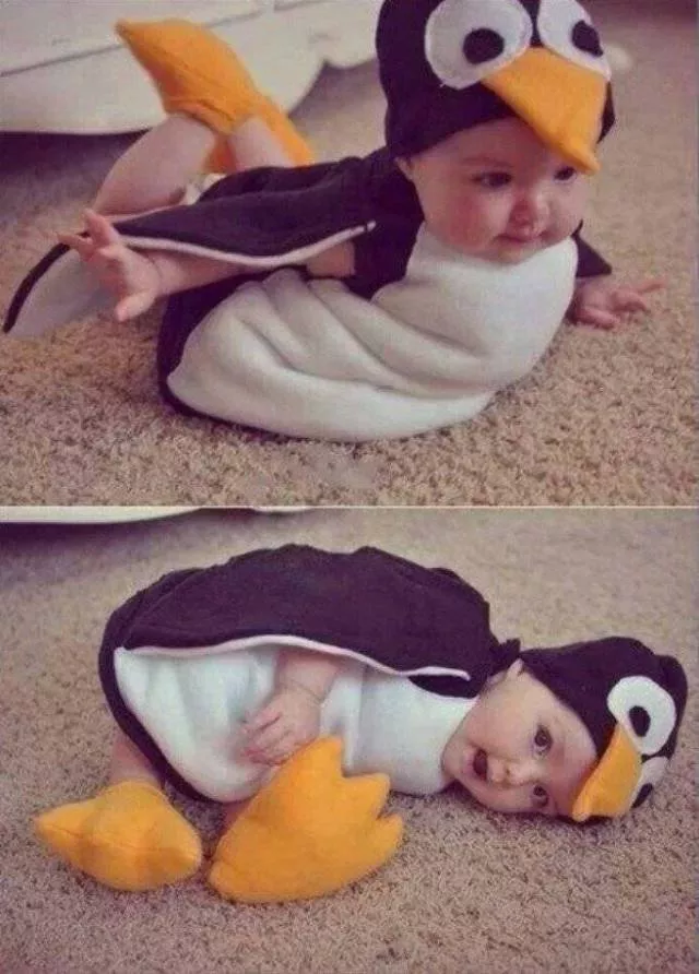 A collection of superb photos - #9 