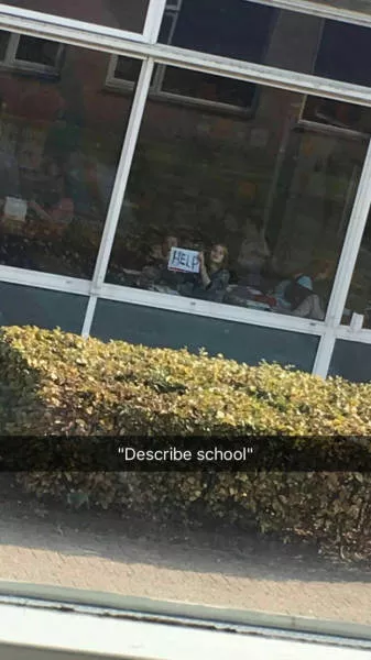 Picdump 202 - #19 