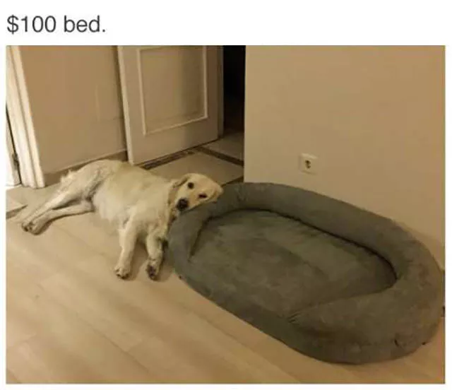 Picdump 202 - #43 