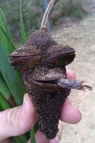 Picdump 203 - #14 