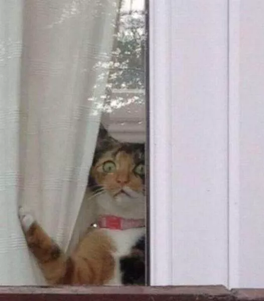 Picdump 203 - #15 