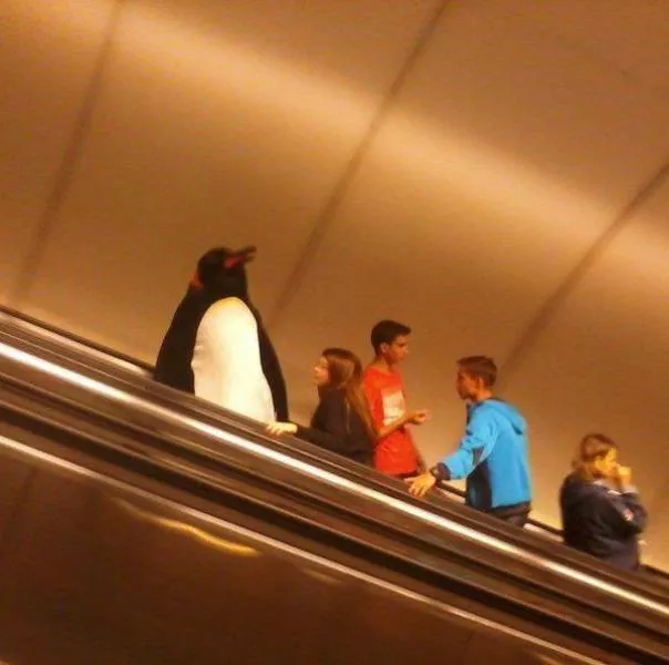 Picdump 203 - #17 