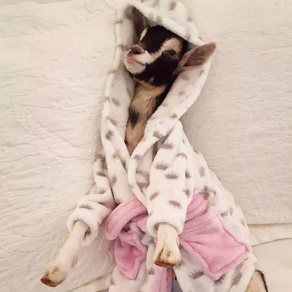 Picdump 203 - #39 