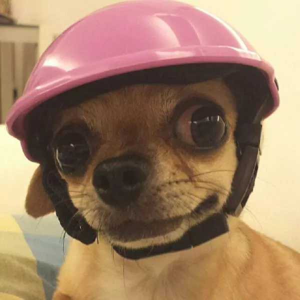 Picdump 203 - #53 