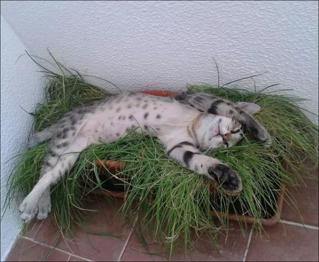 Picdump 203 - #54 