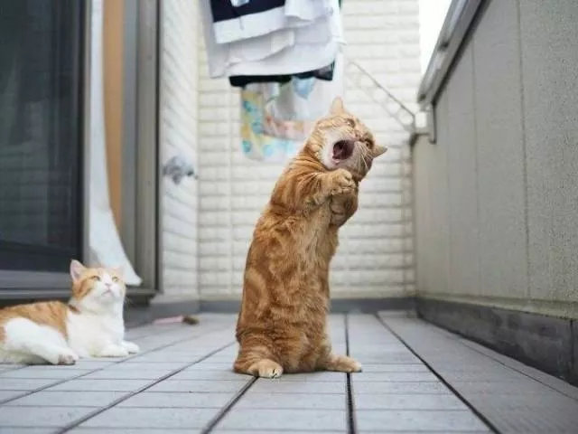 Picdump 203 - #9 