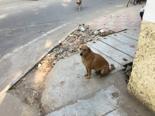 India a place like no other on earth - #12 