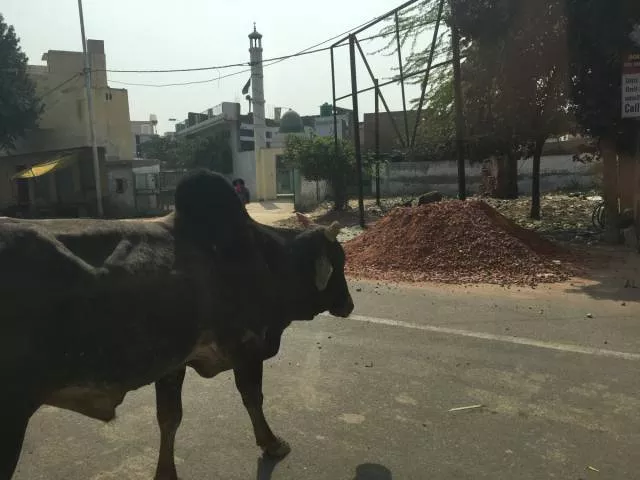 India a place like no other on earth - #8 