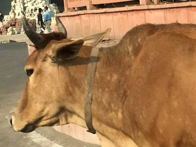 India a place like no other on earth - #9 