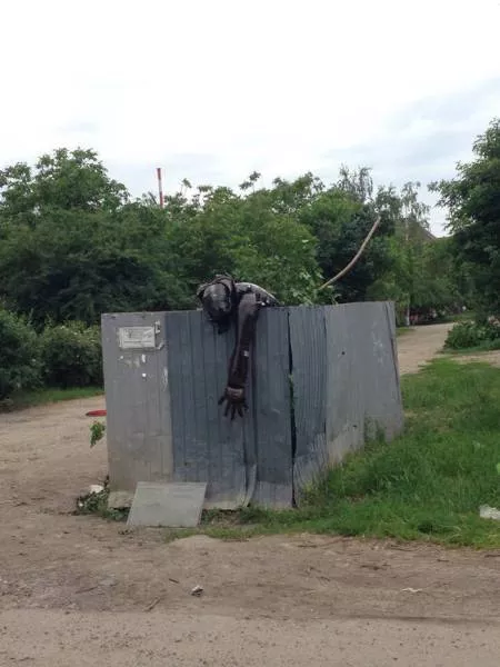 Picdump 204 - #2 
