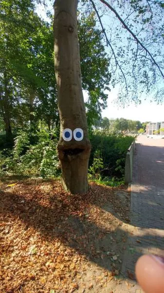 Picdump 204 - #8 