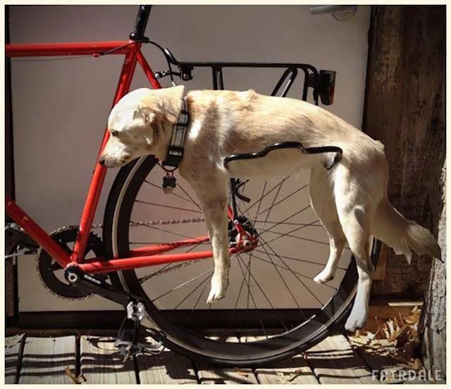 Picdump 205 - #18 