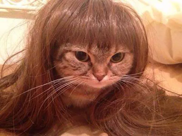 Picdump 205