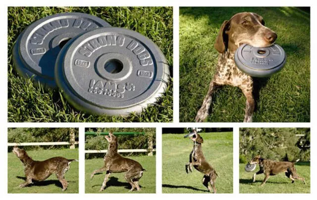 Clever inventions - #18 