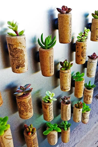 Practical things in everyday life - #27 