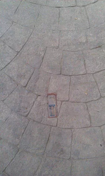 Picdump 206 - #24 