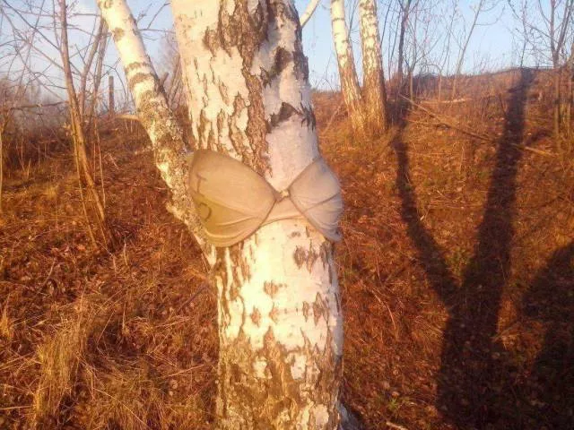 Picdump 206 - #29 