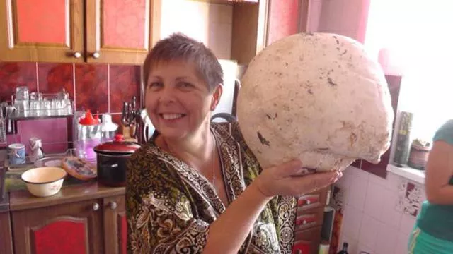 Picdump 206 - #46 
