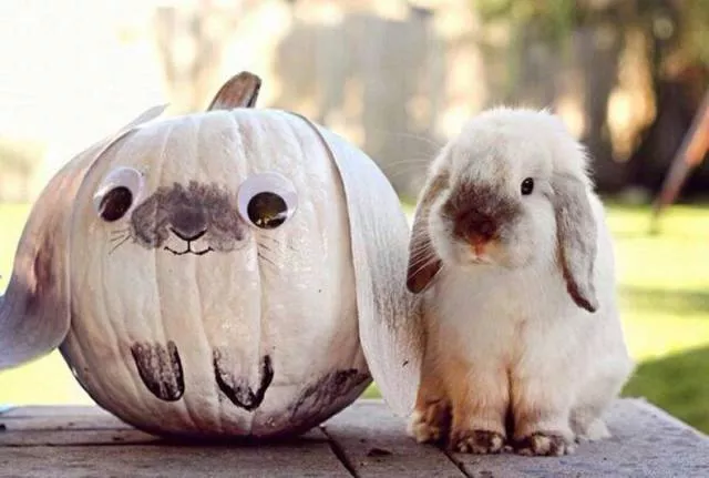 Picdump 206 - #53 