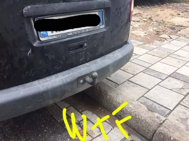Picdump 206 - #64 