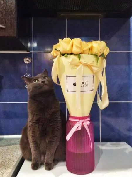 Picdump 207 - #22 