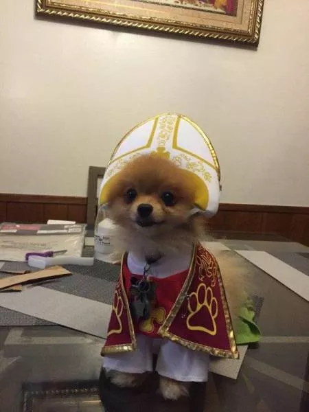 Picdump 207 - #23 