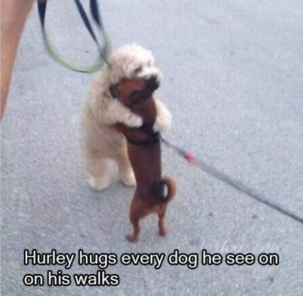Picdump 207 - #30 