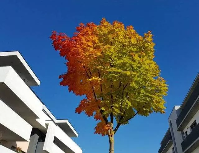 Picdump 207 - #37 
