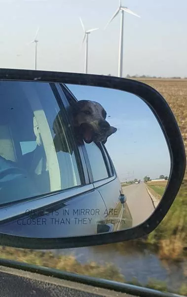 Picdump 207 - #40 